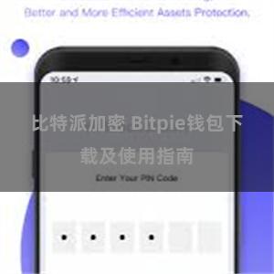 比特派加密 Bitpie钱包下载及使用指南