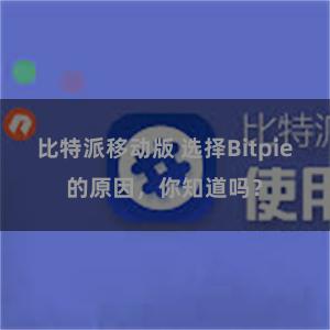 比特派移动版 选择Bitpie的原因，你知道吗？