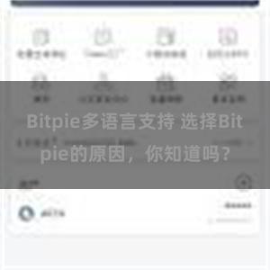 Bitpie多语言支持 选择Bitpie的原因，你知道吗？