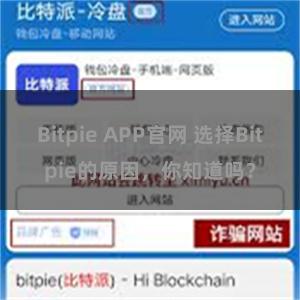 Bitpie APP官网 选择Bitpie的原因，你知道吗？