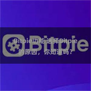 Bitpie功能 选择Bitpie的原因，你知道吗？