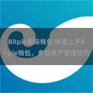 Bitpie国际钱包 快速上手Bitpie钱包，多链资产管理技巧