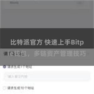 比特派官方 快速上手Bitpie钱包，多链资产管理技巧