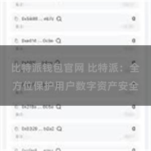 比特派钱包官网 比特派：全方位保护用户数字资产安全