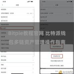 Bitpie教程官网 比特派钱包多链资产管理操作指南