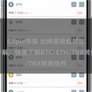 Bitpie恢复 比特派钱包转账教程详解，快速了解BTC/ETH/TRX转账操作