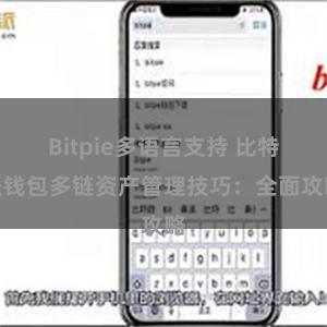 Bitpie多语言支持 比特派钱包多链资产管理技巧：全面攻略