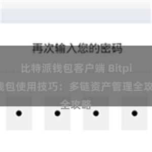 比特派钱包客户端 Bitpie钱包使用技巧：多链资产管理全攻略