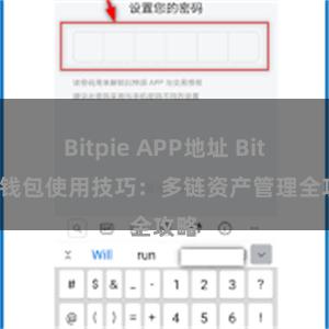 Bitpie APP地址 Bitpie钱包使用技巧：多链资产管理全攻略