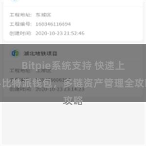 Bitpie系统支持 快速上手比特派钱包，多链资产管理全攻略