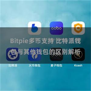 Bitpie多币支持 比特派钱包与其他钱包的区别解析