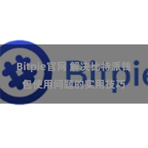 Bitpie官网 解决比特派钱包使用问题的实用技巧