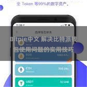 Bitpie中文 解决比特派钱包使用问题的实用技巧