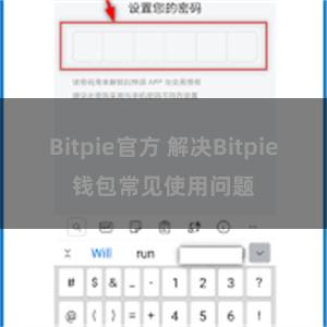 Bitpie官方 解决Bitpie钱包常见使用问题