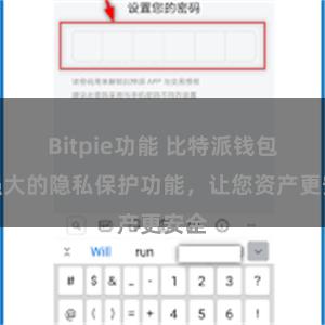 Bitpie功能 比特派钱包：强大的隐私保护功能，让您资产更安全