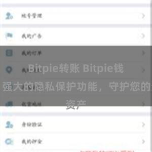 Bitpie转账 Bitpie钱包：强大的隐私保护功能，守护您的资产