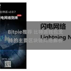 Bitpie推荐 比特派钱包支持的主要区块链网络解析