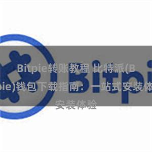 Bitpie转账教程 比特派(Bitpie)钱包下载指南：一站式安装体验