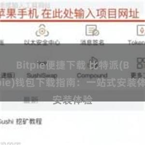 Bitpie便捷下载 比特派(Bitpie)钱包下载指南：一站式安装体验