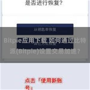 Bitpie应用下载 如何通过比特派(Bitpie)设置交易加速？