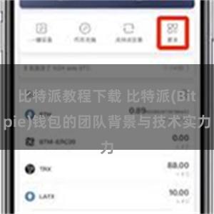 比特派教程下载 比特派(Bitpie)钱包的团队背景与技术实力