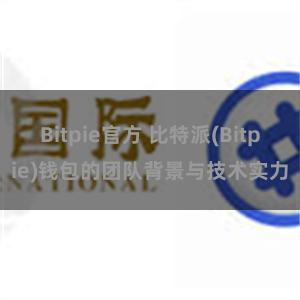 Bitpie官方 比特派(Bitpie)钱包的团队背景与技术实力