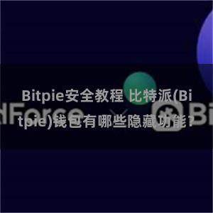 Bitpie安全教程 比特派(Bitpie)钱包有哪些隐藏功能？