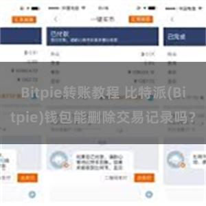 Bitpie转账教程 比特派(Bitpie)钱包能删除交易记录吗？