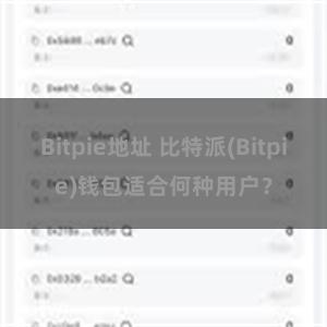 Bitpie地址 比特派(Bitpie)钱包适合何种用户？