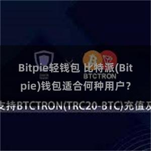 Bitpie轻钱包 比特派(Bitpie)钱包适合何种用户？