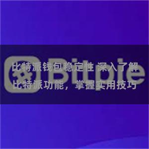 比特派钱包稳定性 深入了解比特派功能，掌握实用技巧