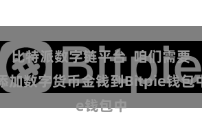 比特派数字链平台  咱们需要添加数字货币金钱到Bitpie钱包中