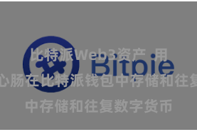 比特派Web3资产  用户不错定心肠在比特派钱包中存储和往复数字货币