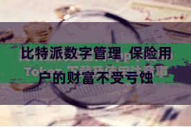 比特派数字管理  保险用户的财富不受亏蚀