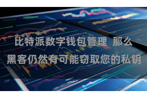 比特派数字钱包管理  那么黑客仍然有可能窃取您的私钥
